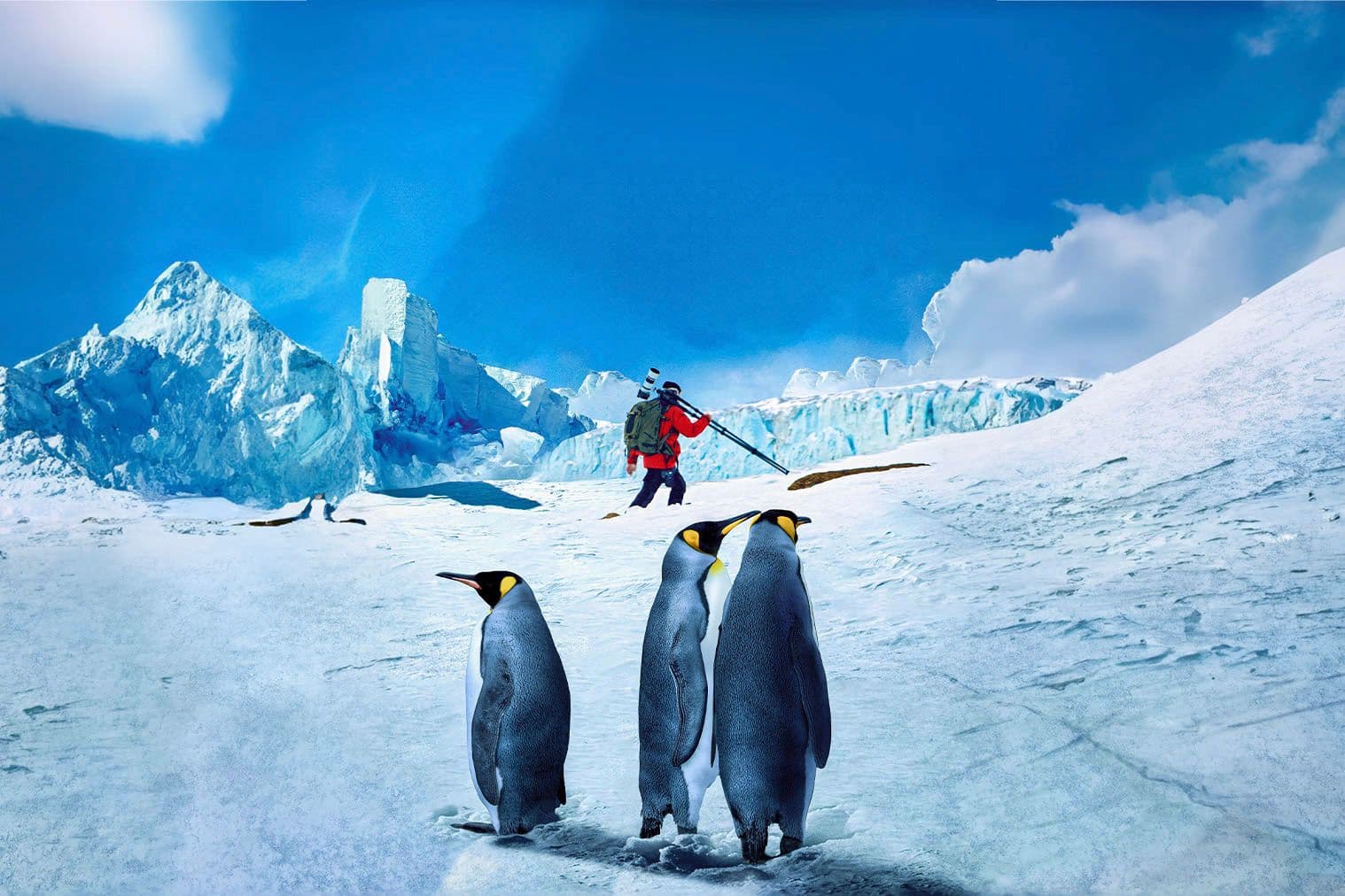A group of emperor penguins in the foreground with an explorer, Artem Shestakov, in winter gear holding a camera against an icy Antarctic backdrop.