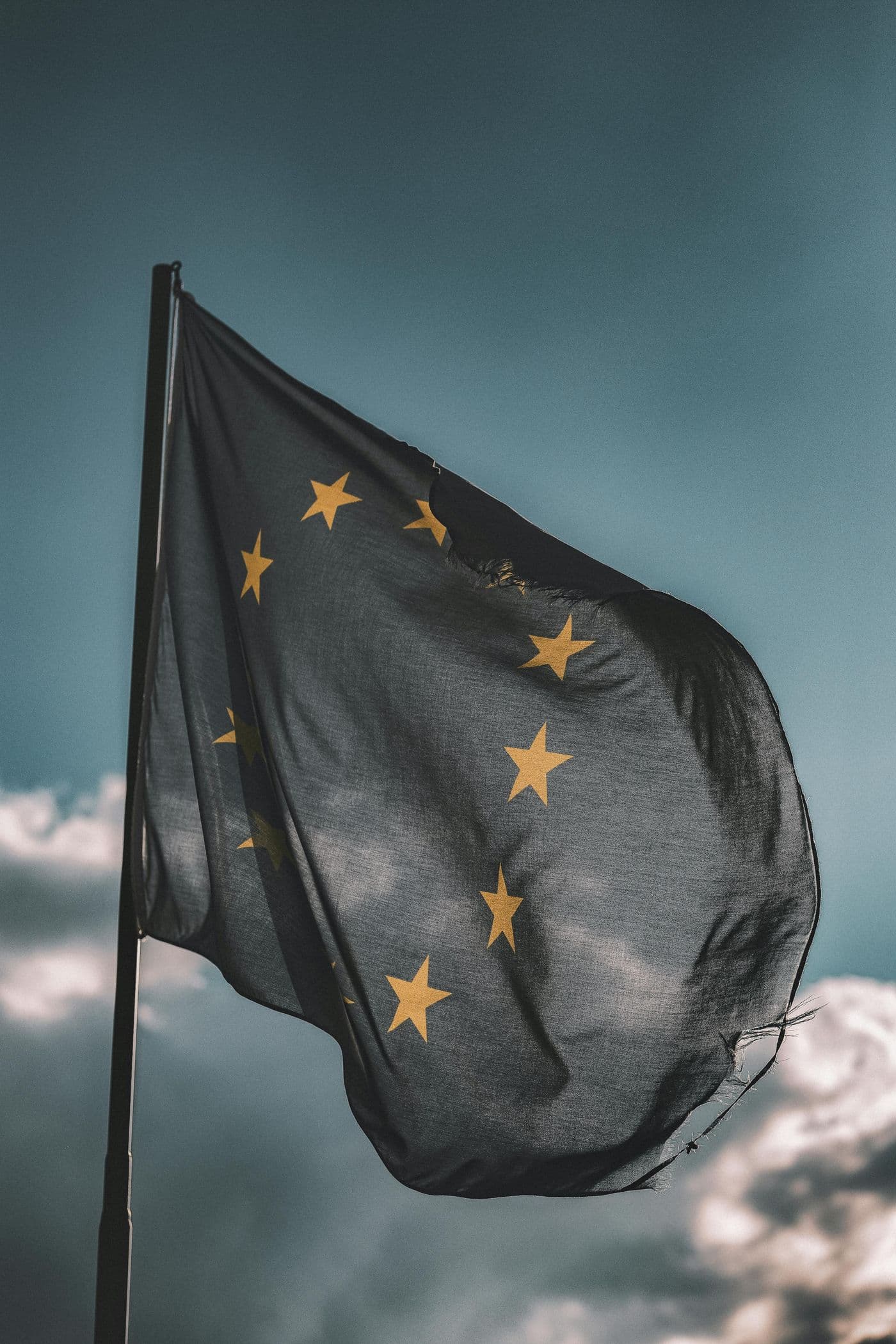 Molly Shelestak — EU Expansion — $1M+ Annual Revenue