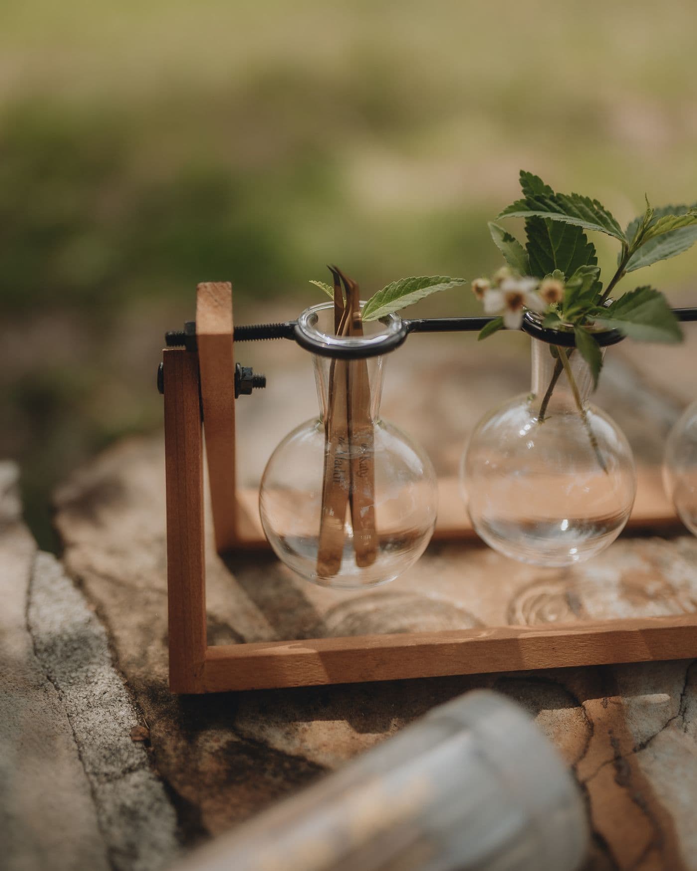 Two glass bulb vases held in a wooden frame, with one containing metal tweezers and the other holding small green leaves and white flowers, displayed on a stone surface.