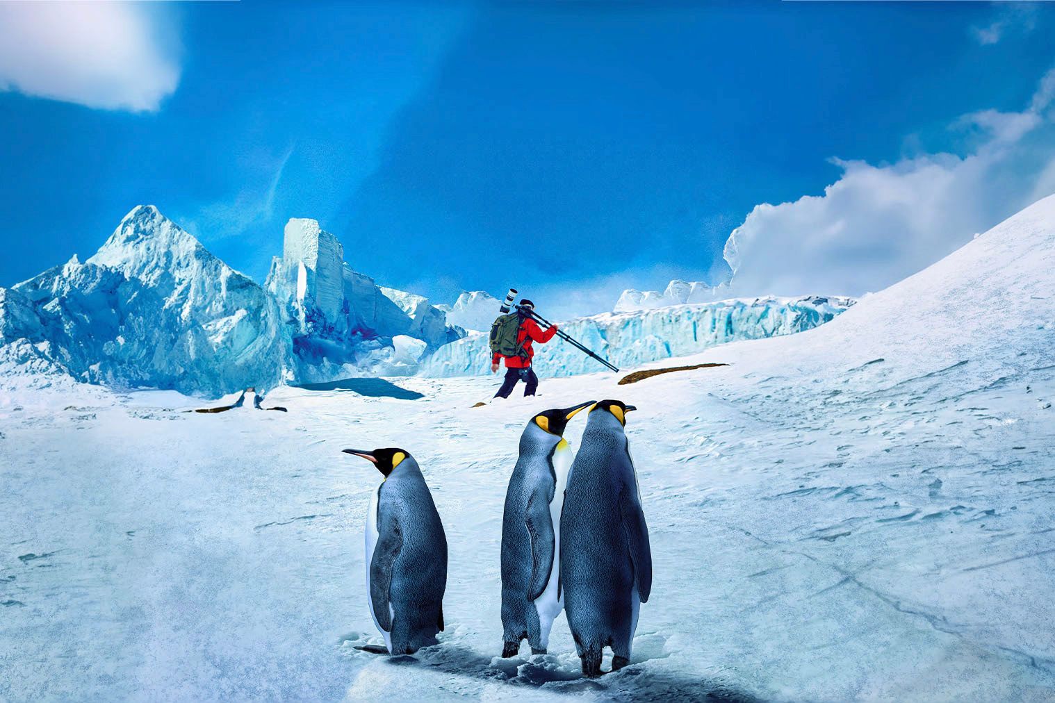 A group of emperor penguins in the foreground with an explorer, Artem Shestakov, in winter gear holding a camera against an icy Antarctic backdrop.
