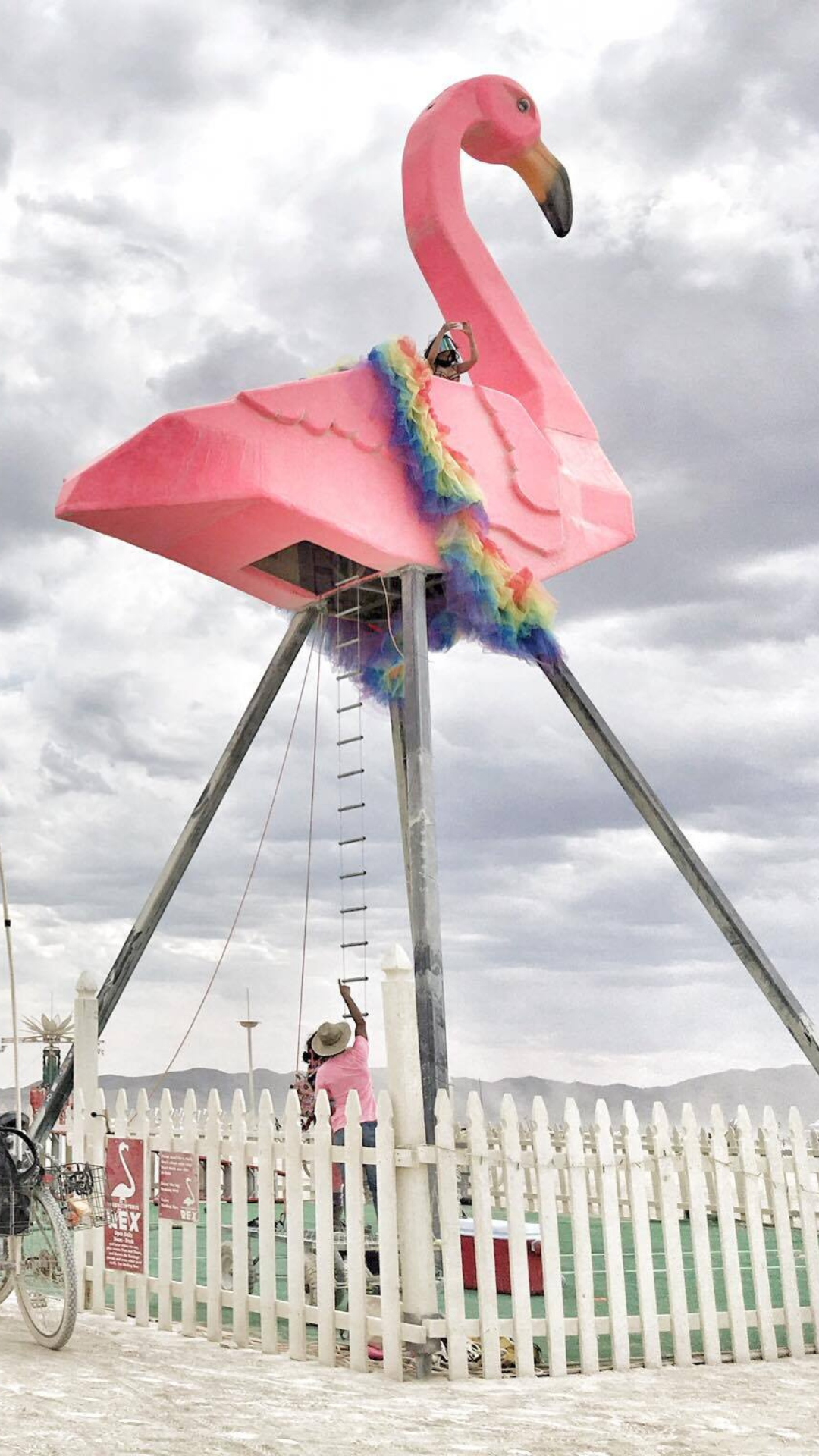 flamingo burning man