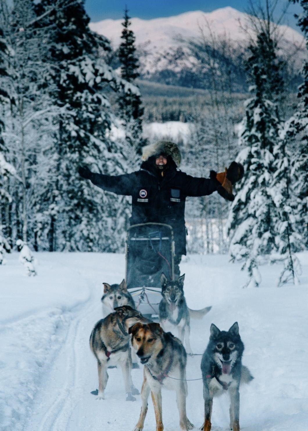 Adventure influencer Tristan Hamm smiles with arms outstretched while dogsledding through a snowy, mountainous landscape.
